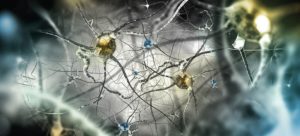 Sistema Endocannabinoide